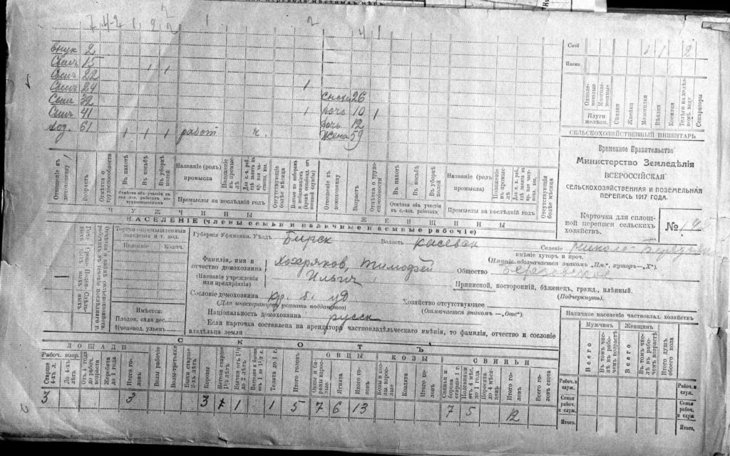 Николо-Берёзовка в переписи 1917 года