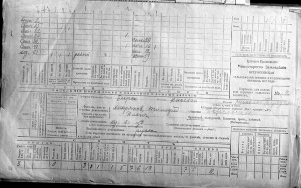 Николо-Берёзовка в переписи 1917 года